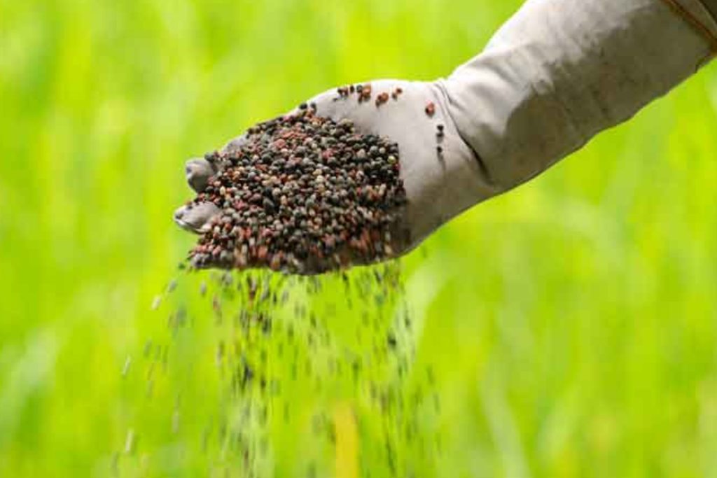 Lawn Fertilization