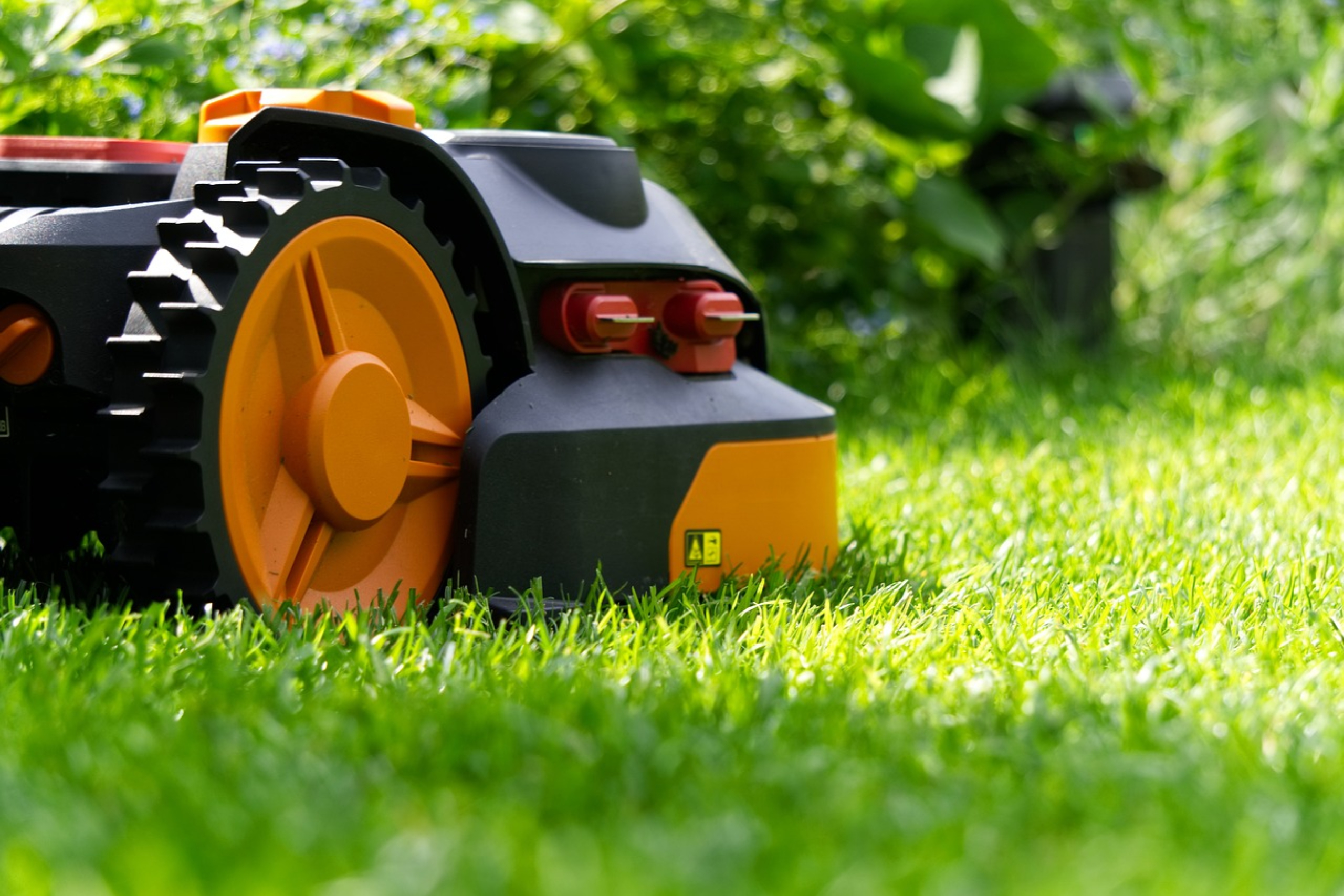 basic mowing